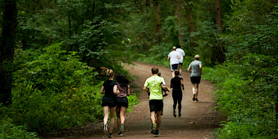 Hardlopen met Sportcentrum VU in het bos